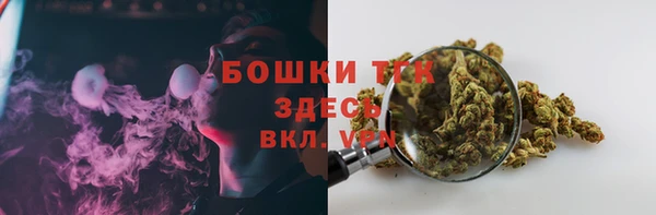 mdpv Бородино