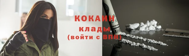 mdpv Бородино