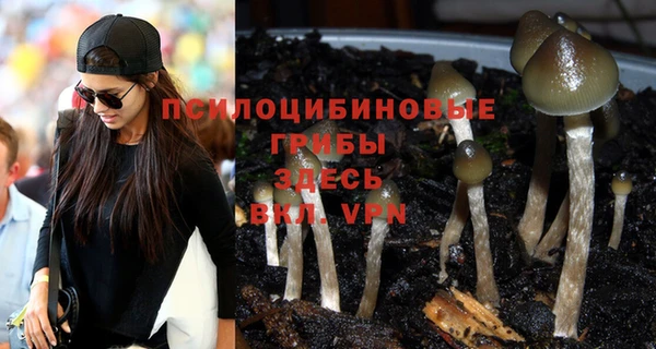 MESCALINE Ачинск