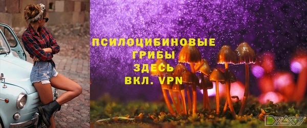 альфа пвп Алагир